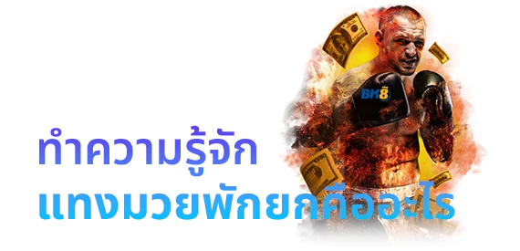 แทงมวยพักยก